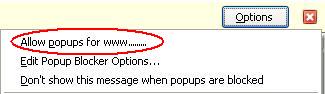 Illustration of Step 2 for allowing popups in Firefox